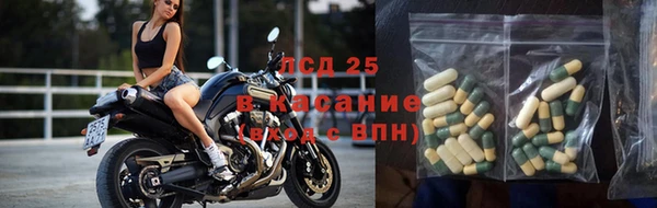 СК Медногорск