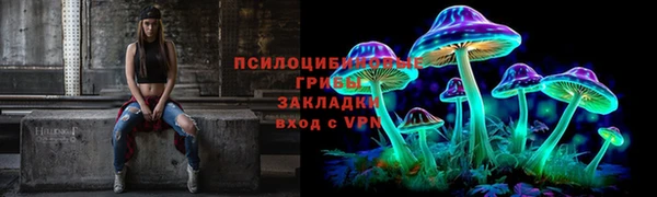 СК Медногорск