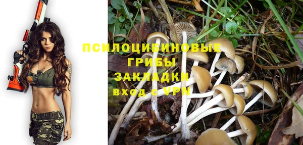твердый Медвежьегорск