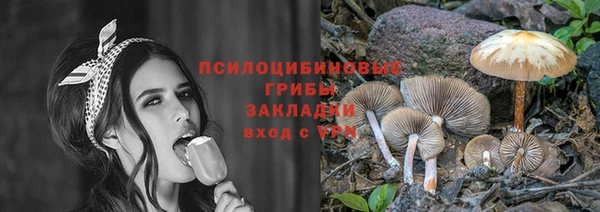 амф Мегион