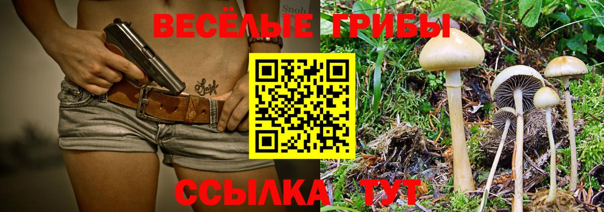Электросталь  Псилоцибиновые грибы GOLDEN TEACHER  Псилоцибиновые грибы Cubensis  Вход с VPN 